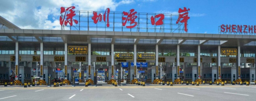 惊蛰春耕忙 种子通关畅：J9集团进出口护航春耕物资“附条件提离”